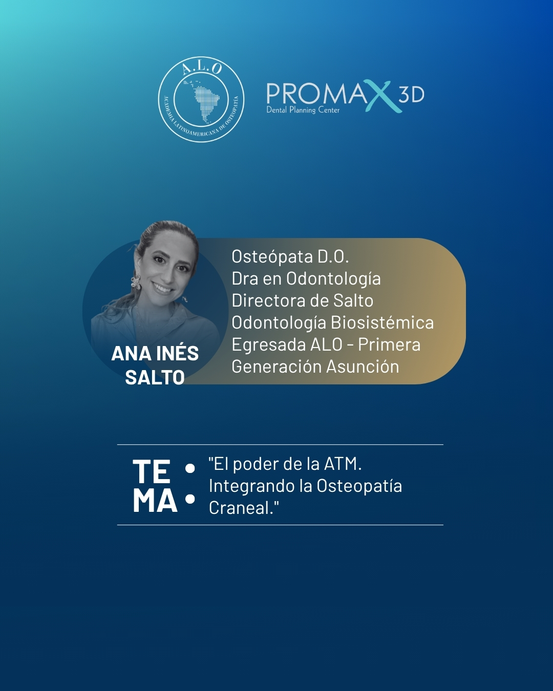 Profesional 3